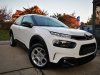 Slika 5 - Citroen C4 Cactus 1.5BlueHDi Business  - MojAuto